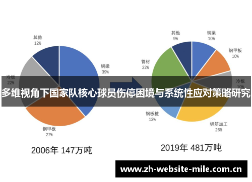 多维视角下国家队核心球员伤停困境与系统性应对策略研究 多维视角下国家队核心球员伤停困境与系统性应对策略研究